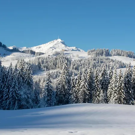 Сasa de vacaciones Riedlsperger Fieberbrunn